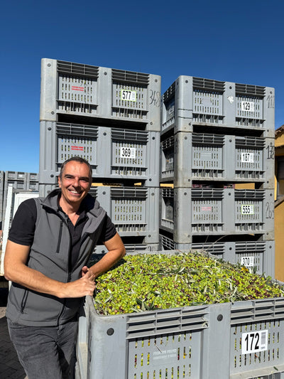 Vizitas labiausiai pasaulyje apdovanotame ūkyje - Frantoio Franci