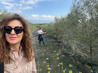 Lankome biodinaminį Trebbio ūkį