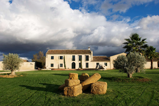 Camino Finca La Torre